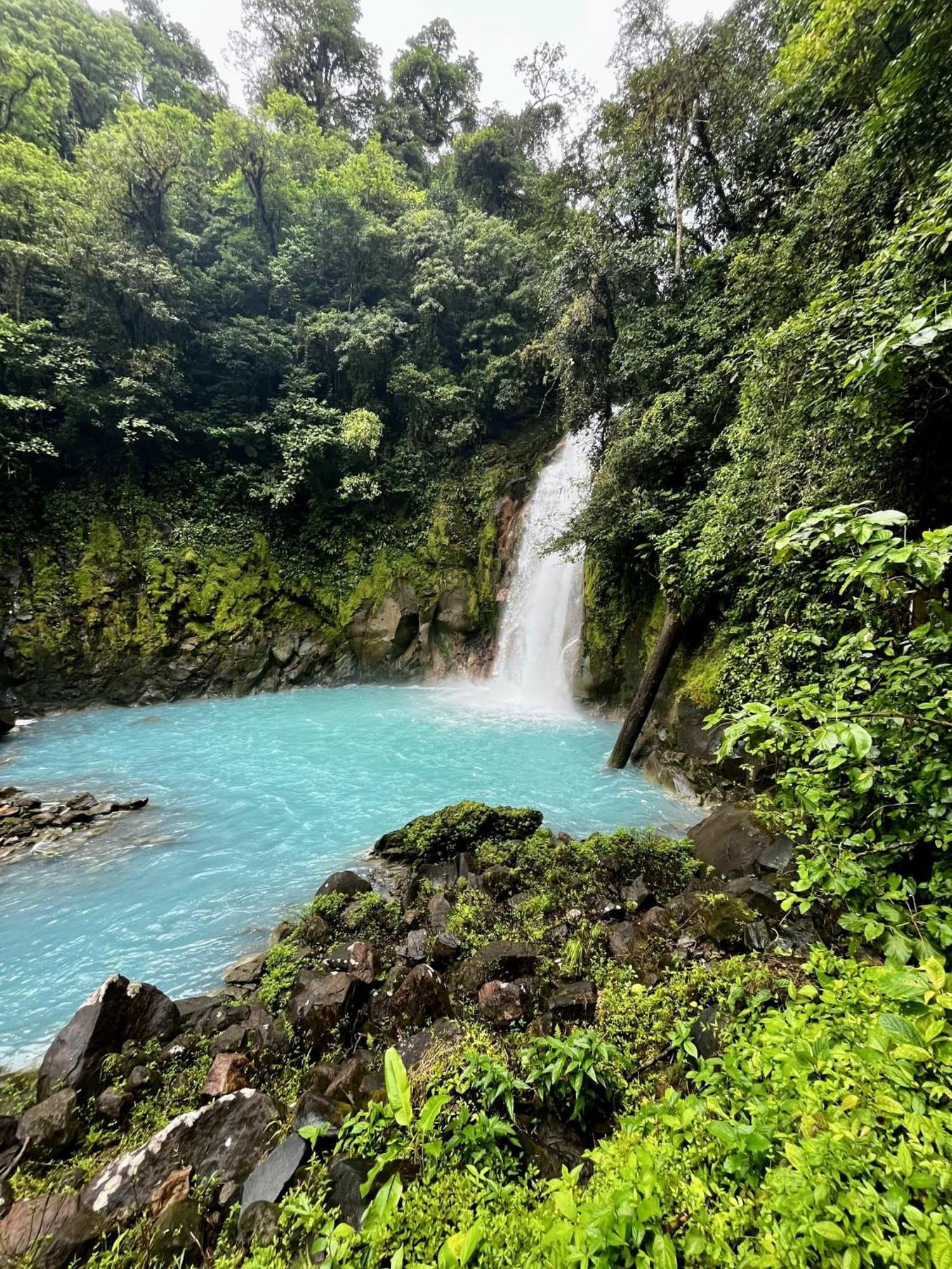 Kakao Lodge & Garden Rio Celeste Bijagua Eksteriør billede