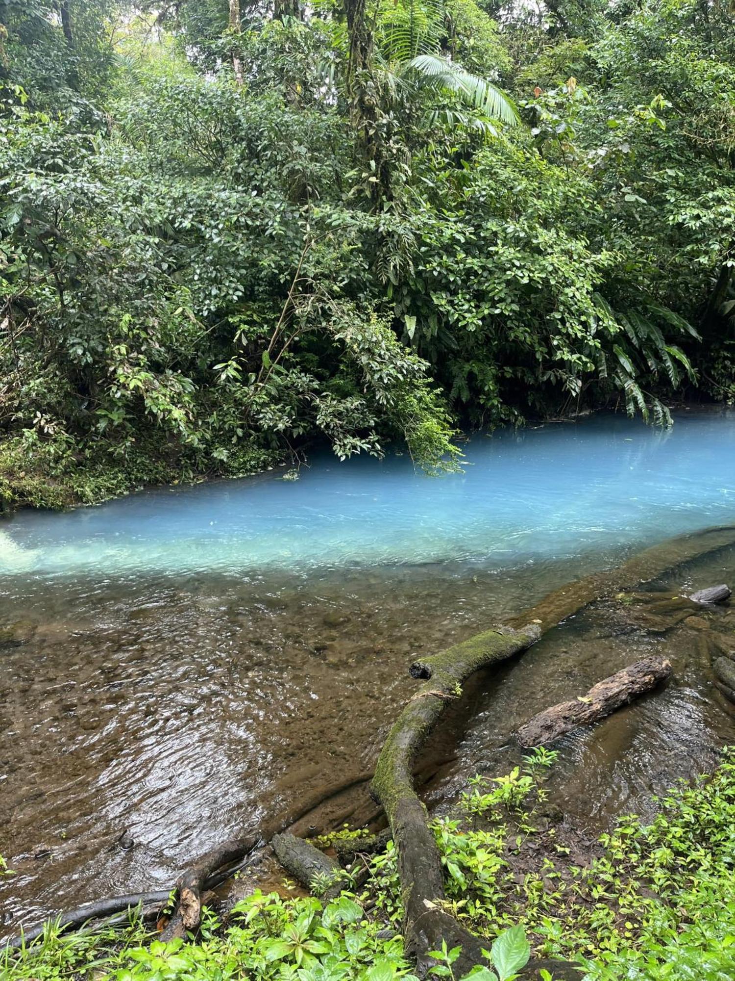 Kakao Lodge & Garden Rio Celeste Bijagua Eksteriør billede